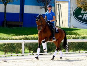 Filippo Di Marco al lavoro con Alfons all' Arezzo Equestrian Center (photo courtesy: team Il Cavallino).