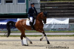 Andrea Neri con Pearl Harbour (photo © tuttoDRESSAGE).