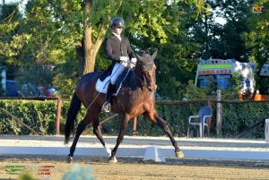 Roberto Brenna e Dom'amie vincitori nell' Inter I domenica (photo courtesy: team Brenna). Int. 1