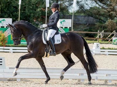 FEI/WBFSH: Victoria’s Secret stellare con la Buchwald, Vitale in difficoltà ad Ermelo