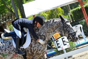 Edoardo Zara, il giovane cavaliere piemontese continua a distinguersi (photo courtesy: Scuderia San Giacomo ).