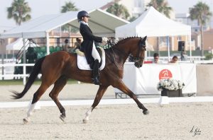 Ginevra Coperchio con Hilltop Don Rodrigo, l' amazzone di Aironi Dressage conclude i suoi campionati (photo © TopIberian).
