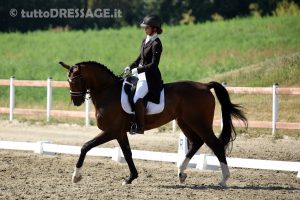 Margherita Josi Paglieri impegnata nella gara di casa (photo © tuttoDRESSAGE).