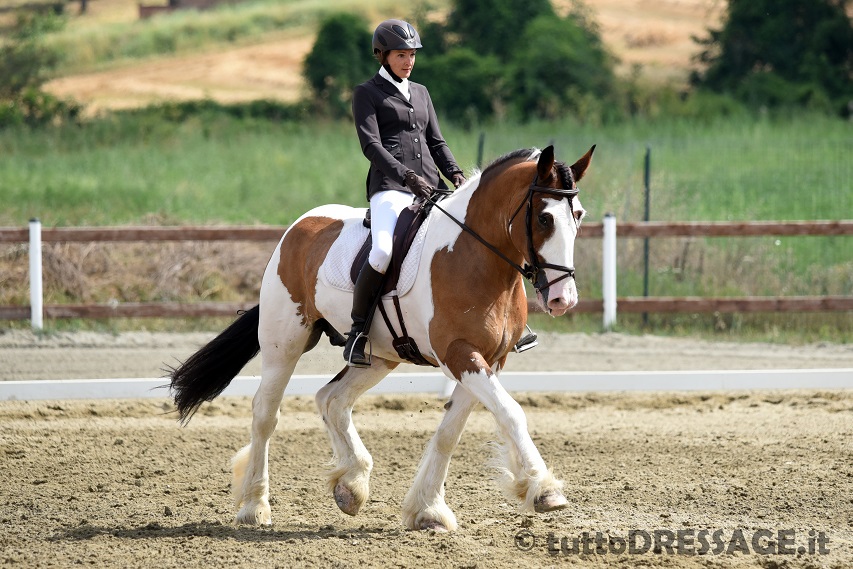 ITS Fergus ed Alessia Sattin (photo © tuttoDRESSAGE).