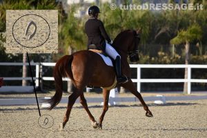 Ecco il momento in cui il ferro anteriore destro di Broadway vola via...Valentina Remold concluderà comunque al decimo posto la sua Kur (photo © tuttoDRESSAGE).