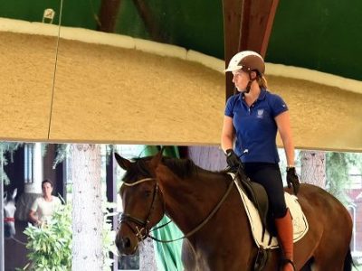 FISE VS Truppa: le opinioni di Montrone e Petaccia, intanto… ne parlano anche i quotidiani