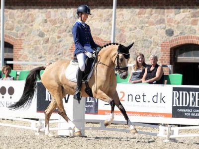 Cecilia Magni: la sua esperienza in Danimarca