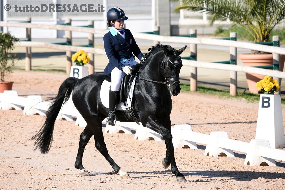 Mael Bombaci e Popcorn WE chiudono la loro avventura europea in Danimarca (photo © tuttoDRESSAGE.it).