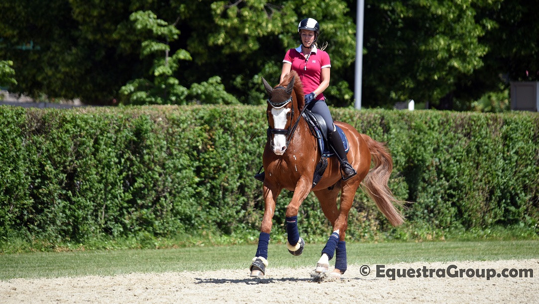Valentina Truppa al lavoro con il giovane talento Sauvignon, potenza e controllo al lavoro. (photo © EquestraGroup/tuttoDRESSAGE).