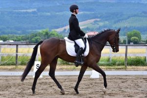 Alessandro Buccolini, in sella a Veronica Sundown (photo courtesy: A. Buccolini).