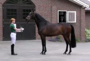 Un altra promettente nouva entrata al CEM con Devalero anche lui di 6 anni per Valentina Truppa.