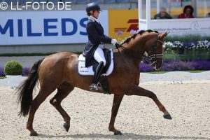 Michelle Hagman edHappiness grandi protagonisti nel CDI 4* di Donaueschingen (photo © LL-FOTO.DE).
