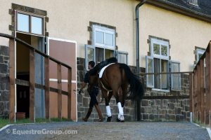 Leonardo Tiozzo conduce in scuderia ad Iserlohn un cavallo dopo l' allenamento prima di partire per l' Italia dove da domani affronterà i Campionati Italiani Assoluti (photo © EquestraGroup / tuttoDRESSAGE).