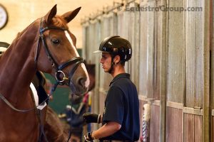 Sei cavalli da Grand Prix durante la giornata per Leonardo Tiozzo, un grande impegno che lo riempie di soddisfazione(photo © Equestra Group / tuttoDRESSAGE). 