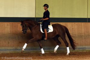 Giovani talenti in preparazione ma solo la creme de la creme arriva ad Iserlohn per iniziare a gareggiare (photo © Equestra Group / tuttoDRESSAGE).
