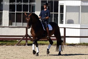 Leonardo con "Big Mama" in passage prende ogni giorno più confidenza ed acquisisce maggior feeling con i diversi cavalli (photo © Equestra Group / tuttoDRESSAGE).