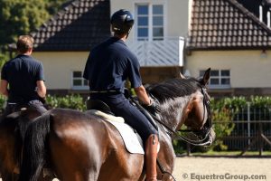 Anche con questo cavallo il lavoro è terminato, una breve pausa per un caffè e si passa al prossimo (photo © Equestra Group / tuttoDRESSAGE).