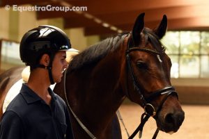 Grande riscatto per il cavaliere romano entusiasta della concretezza della sua nuova posizione in Germania (photo © Equestra Group / tuttoDRESSAGE).