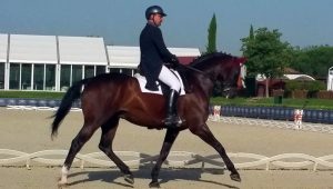 Mattia Maruffi su Romeo k2 vincitori del Prix St. George (photo courtesy team Maruffi).