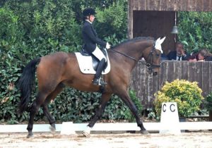 Rachele Maghini in sella a Dunrath Muldoon, la portacolori della Scuderia San Giacomo ha vinto l' oro Juniores F (photo courtesy: Scuderia San Giacomo).
