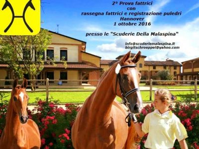 Hannover Rassegna Fattrici alla Malaspina