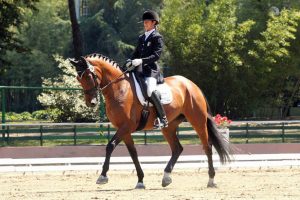 Claudia Montanari protagonista nei cavalli giovani dimostra di essere non solo una amazzone eccezionale ma anche una dotatissima preparatrice di cavalli (photo courtesy: Aironi Dressage).