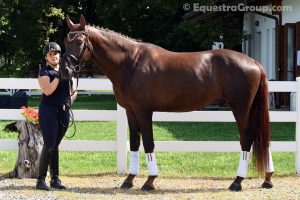 Valentina Croce (photo © Equestra Group / tuttoDRESSAGE).