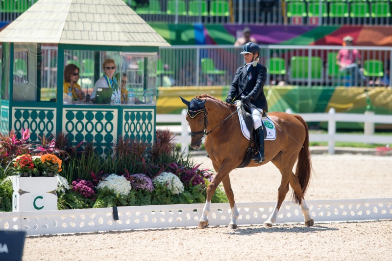 Silvia Veratti e Zadok in rettangolo al Deodoro di Rio de Janeiro (photo © FISE/Jon Stroud Media).
