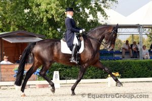 Anna Campanella argento tecnico nell' Assoluto di livello Grand Prix (photo © Equestra Group / tuttoDRESSAGE).