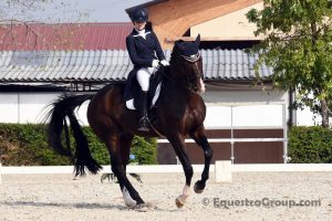 Alice Campanella e Vian Stallone doppio oro tricolore nell' Under 25, un impresa storica per il giovane talento azzurro che tecnicamente sarebbe ancora in età da pony (photo © Equestra Group / tuttoDRESSAGE).