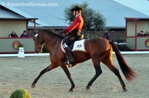Soleada con Andrea Giovannini a Barcellona 2013 dove ottennero la medaglia d' argento nel livello 2 F/M (photo © Equestra Group / tuttoDRESSAGE).