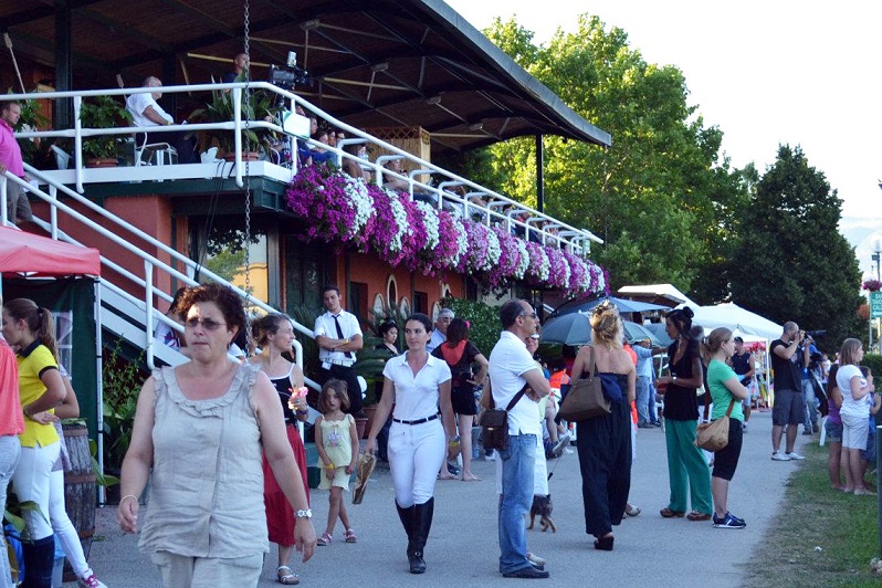 Essedi di Cisterna di Latina.