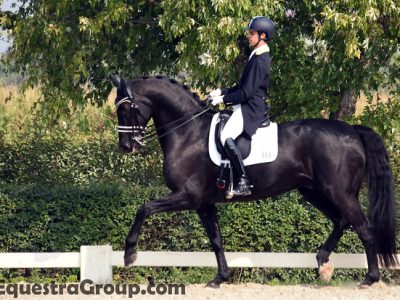 Leonardo Tiozzo: un grande team… sono soddisfatto dei primi progressi e risultati