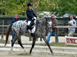 Edoardo Zara sempre vincente ed in crescita agonistica (photo courtesy: Scuderia San Giacomo).