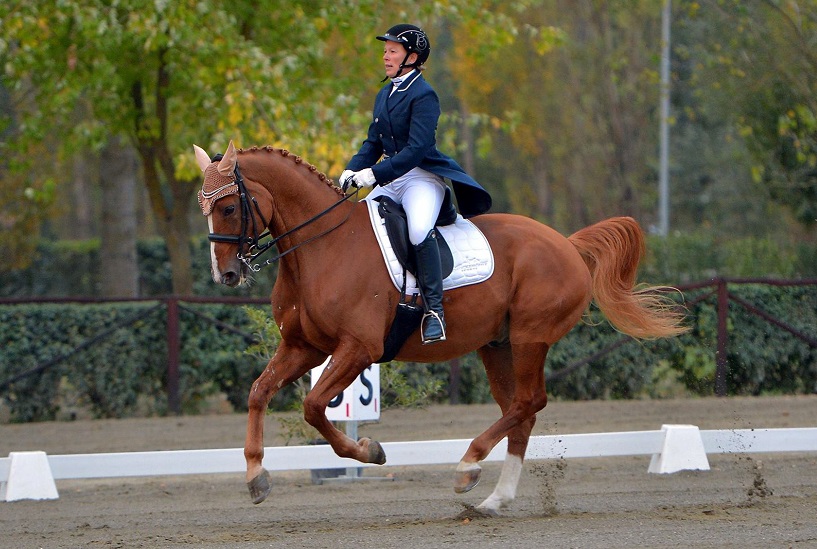 Paola Lerma e Waterworld vincitori del Prix St Georges ad Alessandria (photo courtesy: Scuderia San Giacomo).