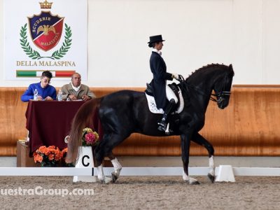 Montanari con Maximillian il grande ritorno