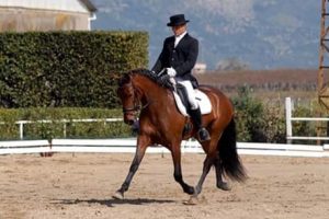 Prima gara a 4 anni a Cisterna di Latina. (photo courtesy: Andrea Giovannini).