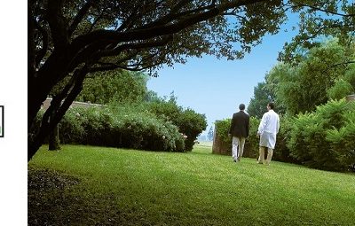 Turval: i lieviti attivi naturali l’importanza e l’utilità