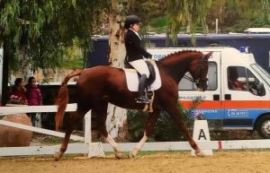 Giulia Scialanga (photo courtesy: C.I. Equestria)