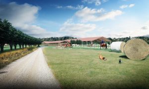 parco-olistico-brenta-rinco-02