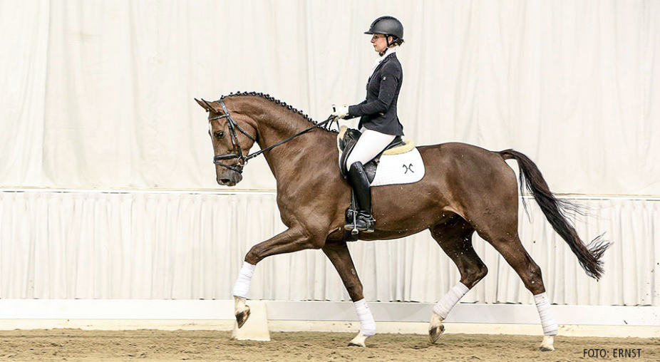 Davros - Don Diamond x Florencio (photo ©Ernst)