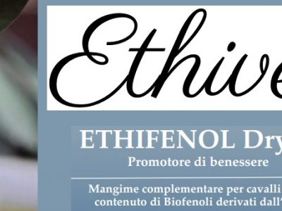 Ethivet: La salute del cavallo passa (anche) dal fitobiotico