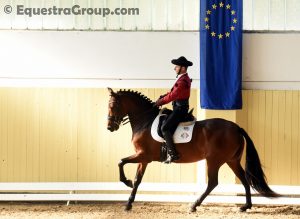 Galoppano a None verso l' oro europeo Andrea Giovannini e Soleada IV dell' Allevamento El Paolo Borracho. Un trionfo internazionale tutto made in Italy. (photo © Equestra Group / tuttoDRESSAGE).