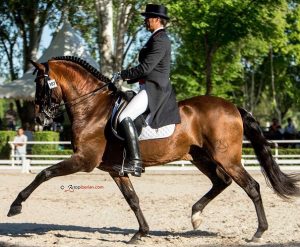 Jose Daniel Martin Dockx e Grandioso I (photo © TopIberian.com).