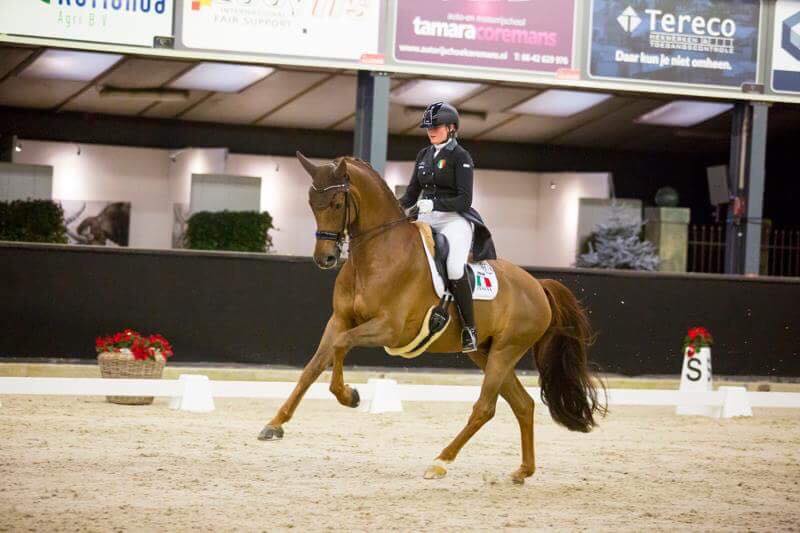 Valentina Remold e Broadway in azione nell' arena di Roosendaal (photo courtesy: team Remold).