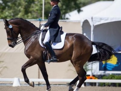 Weekend: Las Vegas High Roller CDI: poker per Steffen Peters