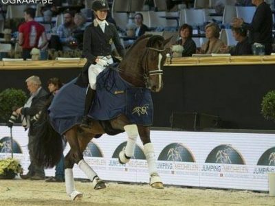 CDI4* Mechelen: Verwimp e Visser si dividono il big tour