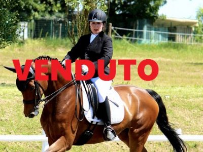 HANNOVER LIVELLO F/M