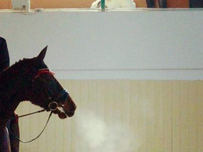 CDNB None: Valentina Truppa e Micol Rustignoli bene all’ HorseBridge