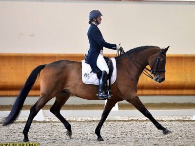 Pie’s Kajal 9 anni